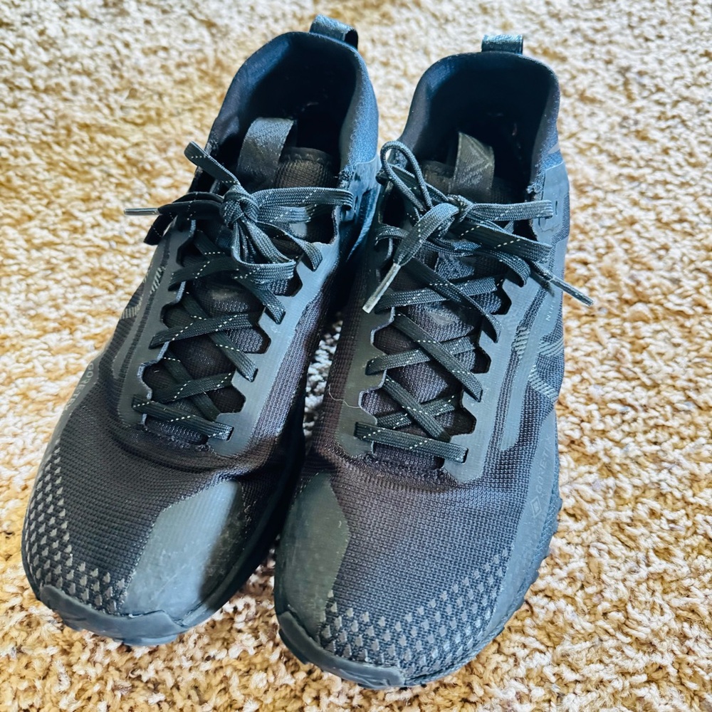 Nike Pegasus Trail 4 GORE-TEX